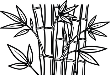 Obraz premium Bamboo plant with leaves and stems