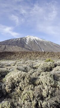 Volcanic Plains with Pico de Teide in Background Tenerife Winter
