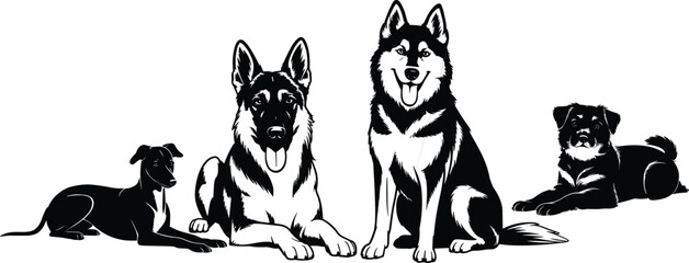 Black and white dog silhouettes set featuring German Shepherd, Siberian Husky and mixed breed dogs isolated on white background, detailed vector illustration collection. © SREEMOTIDIPIKA