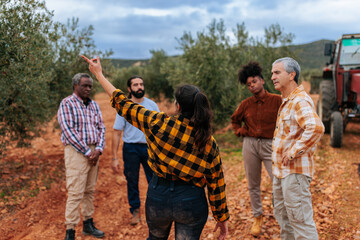 Obraz premium Multicultural team discussing olive harvest plans in a rural olive grove during an autumn field meeting