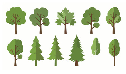 Green forest trees vector set with deciduous and coniferous foliage crowns botanical flat illustration collection © MdShakib