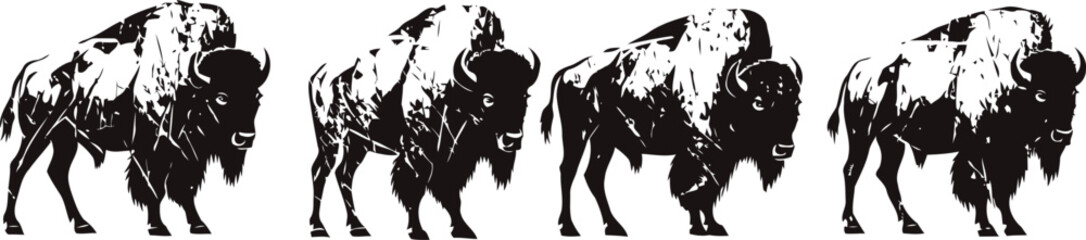 Fototapeta premium Black silhouette of walking bison herd american buffalo wildlife animal isolated on white background