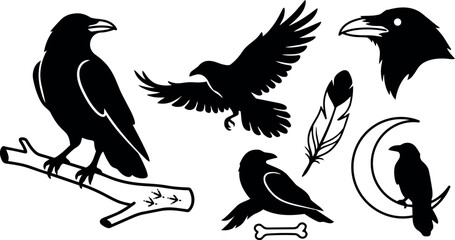 Fototapeta premium Black silhouette crow perched on branch flying bird with spread wings feather bone crescent moon vector art set