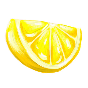 Oil Impasto Lemon Slice Illustration