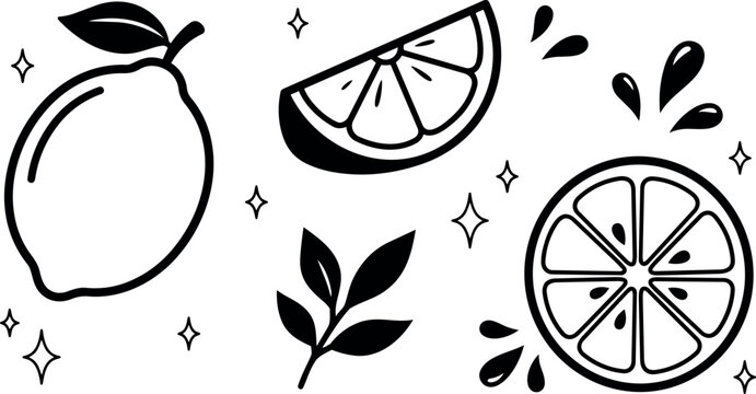 Minimalist black and white lemon fruit vector art with sliced wedges leaves and juice drops simple design citrus illustration