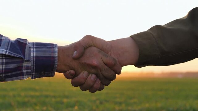 Farmers shaking hand with agriculture field on the background. Agreement Farmer and biologists shaking hands in field at summer hot day