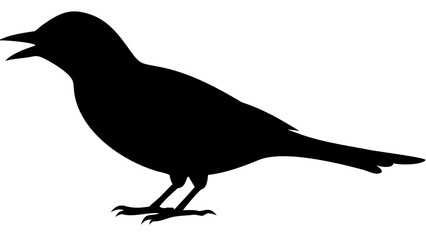woodpecker black silhouette icon, forest bird silhouette, transparent background