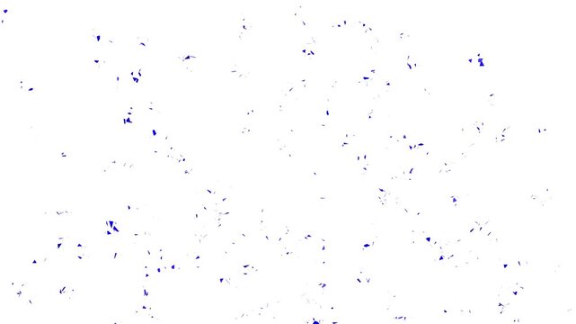 Blue confetti explosion and floating particles on white background, Abstract festive blue confetti burst with slow motion scatter, Celebration blue particles and tiny paper shards animation