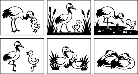 Fototapeta premium Black and white vector art of cranes and chicks interacting near water and grass in different natural poses and peaceful outdoor scenes illustration