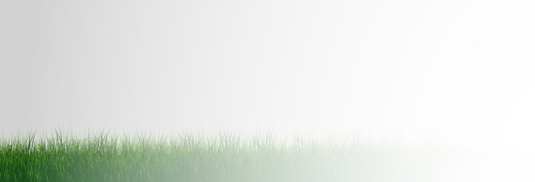 Grass border, vector illustration. Vector grass, lawn. Grass png, lawn png. Green grass with sun glare.	
