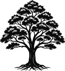 Fototapeta premium Tall Oak Tree Silhouette