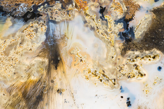 Sagenitic Agate, closeup