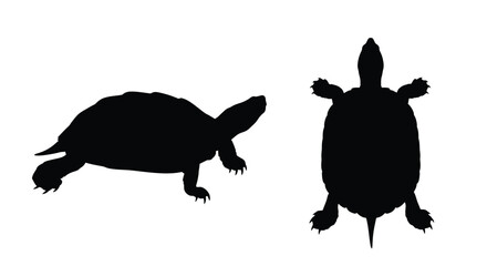 Two views of a turtle depicted in black a striking silhouette © Abir