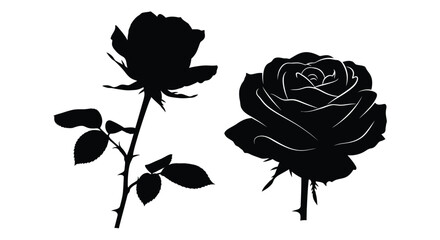 Two elegant roses in a striking black silhouette © Abir