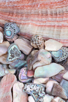 Abalone shell and pieces, closeup