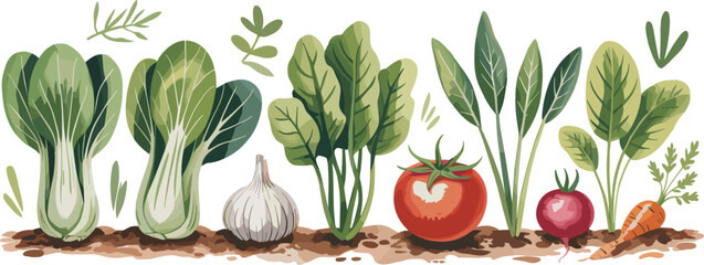 Colorful vegetable garden illustration showing bok choy, garlic, spinach, tomato, beet, and carrot growing in soil with vibrant foliage, healthy food, agriculture, and organic farming concept © SATHI AKHTER