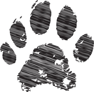 This is a black and white image of a dog paw print on a clean background