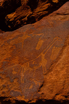 Ancient San rock paintings in Damaraland and Brandberg