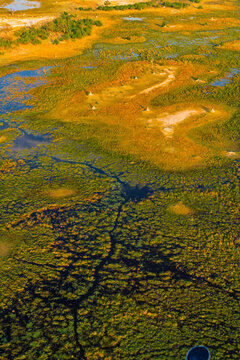 Aerial view of lush delta landscape in Botswana