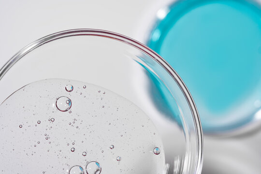 Petri dish textures in scientific close-up view