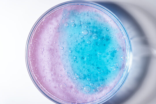 Abstract textures in vibrant petri dish experiment