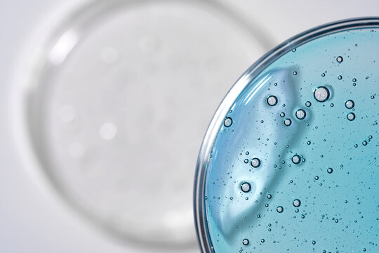 Textured patterns in petri dish close-up