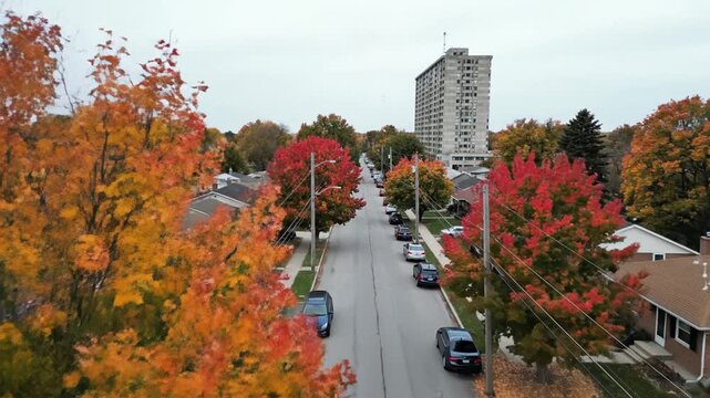 Autumn residential street with colorful trees and apartment building