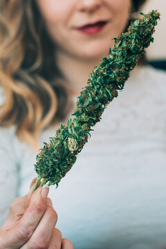 Woman holding marijuana plant with soft focus background