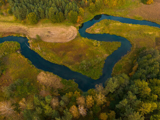 Winding Radunia river in a green and autumn forest landscape, Kashubia, Poland.