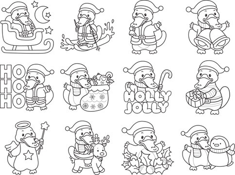 Cute set of platypus sticker with christmas activity. Platypus 