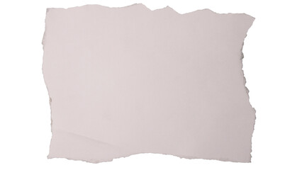 Obraz premium Ripped paper edges of torn scrap paper isolated for raw and artistic look