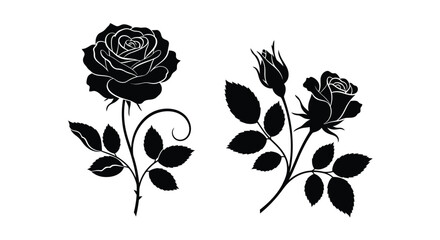 Elegant black rose blooms and buds a delicate floral silhouette