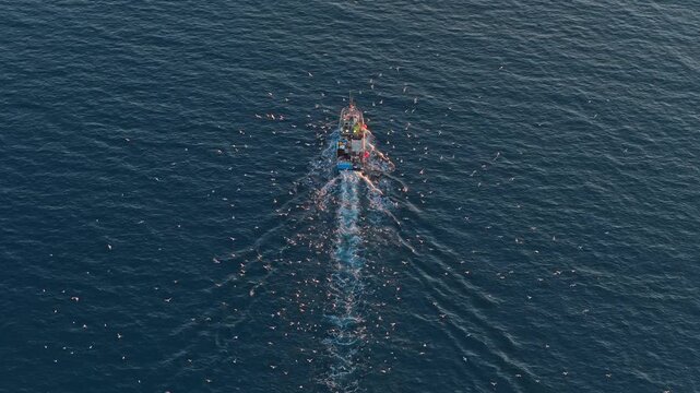 Aerial view of fishing trawler sailing with seagulls following