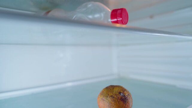 Empty Fridge with Rotten Mandarin and Old Plastic Bottle | Elevator Shot Inside Neglected Refrigerator | Bachelor Lifestyle and Food Waste Concept