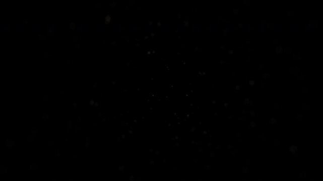 Elegant Particle titles for Dynamic Animations