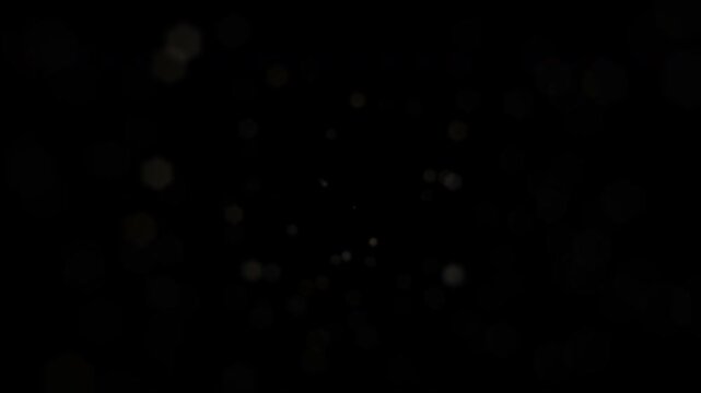 Elegant Particle titles for Data Visualization