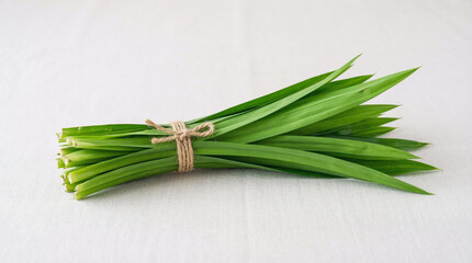 A bunch of fresh green lemongrass tied with twine on a white surface