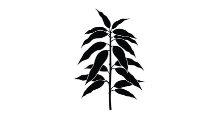 A striking black silhouette of eucalyptus leaves and stem silhouette © MDRAYHAN
