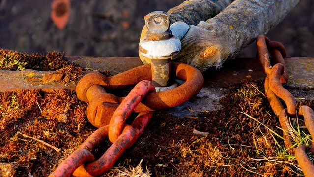 Close-up of a thick mooring rope and rusty chain on a mossy dock in a harbor. Industrial maritime equipment and nautical detail for ship docking and transportation at sunset.