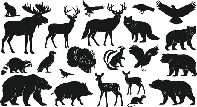 Wild animals and birds silhouette set collection cad drawing flat vector illustration for forest nature wildlife and zoo design projects.