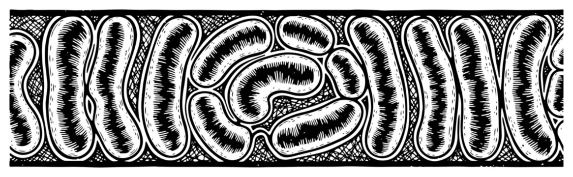 Detailed pattern of microscopic bacteria or biological cell structures