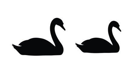 Two graceful swans swimming peacefully a striking black silhouette © MK2.00