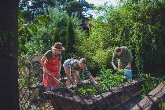 Happy young and old farmers working with garden tools outdoors at community garden.