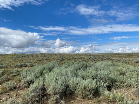 Sage brush covers the landscape of northeast Utah near the Green River. This was one of the areas frequented by American outlaw Butch Cassidy and the Hole in the Wall gang.