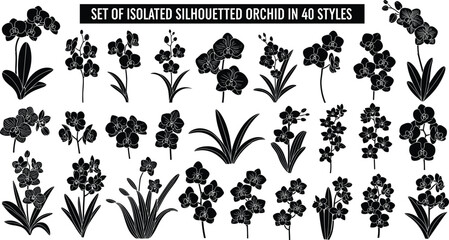 Set of isolated silhouetted orchid flowers in forty styles, black floral vector elements, botanical bloom silhouettes, tropical plant collection for design. © Robiul