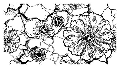 Organic lichen spreading on cracked stone surface texture © Cristiano