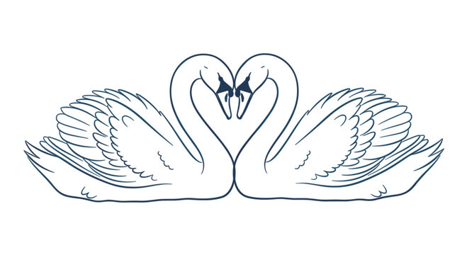 Set of 2 swans forming heart shape vector illustration