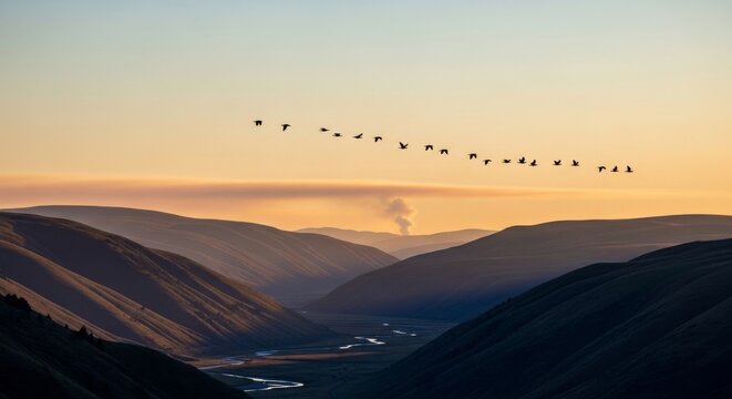 Birds flying in formation over mountains at sunset