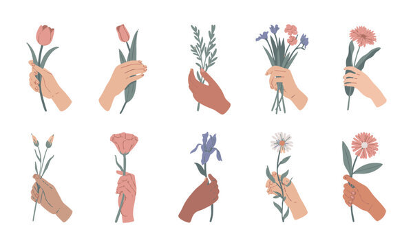 Elegant hands holding flowers botanical vector illustration set.