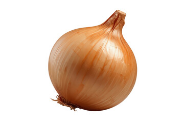 Yellow onion showing a single whole bulb with its brown skin. Fresh, organic cooking ingredient for various healthy recipes